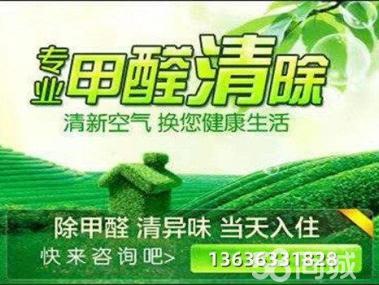 母嬰甲醛治理服務工裝家裝除甲醛工廠,空氣凈化提供甲醛檢測、汽車除醛、甲醛治理/除甲醛服務